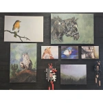 Kunst & Drucke