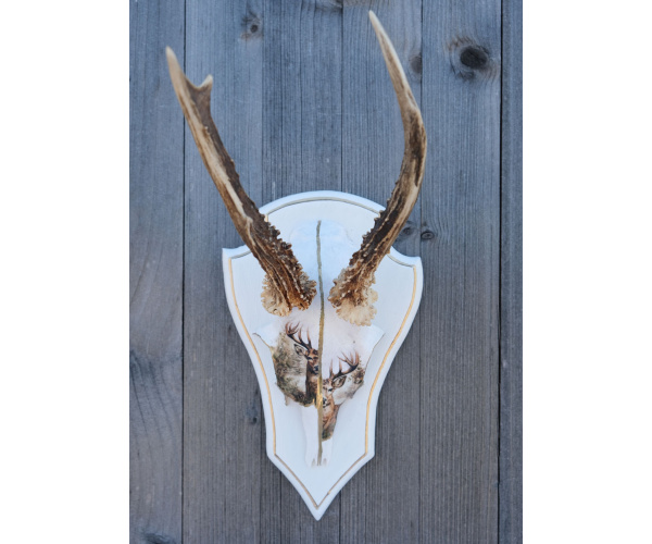 Wildes Design: Rehgeweihe mit Seele "2 Faces"