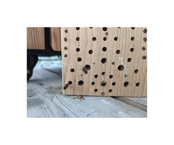 Nistholz-Insektenhotel aus Ahornholz 25x18x9cm