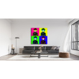Jan Walter Schwarzwald Pop-Art "Schwarzwaldmarie Andy"