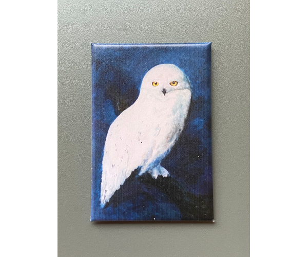 Magnet "Schwarzwaldtiere" Schneeeule 60x40mm