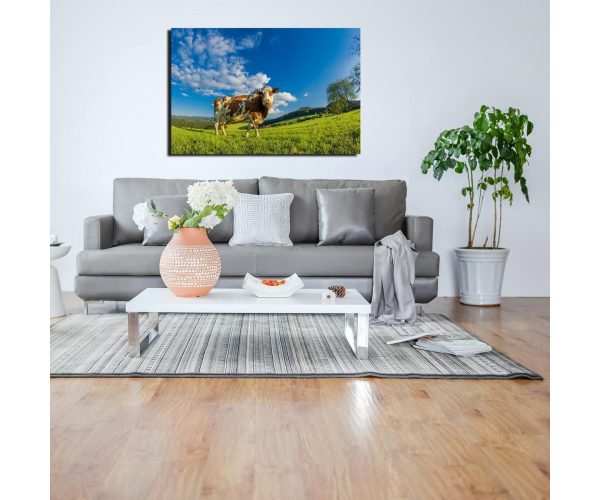 Fotodruck "Schwarzwald Kuh auf Wiese" Acrylglas 50x75cm