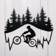 Wandbild Metallbild Mountainbiker, ca. 60 x 50 cm