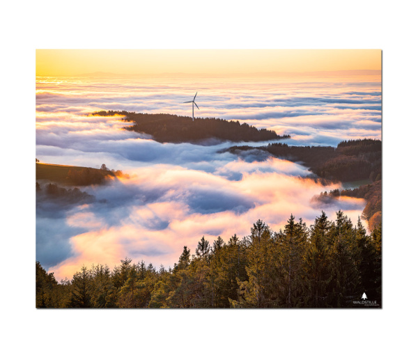 Fotodruck Schwarzwaldhöhen über dem Nebel